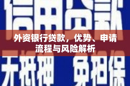 塔河外资银行贷款，优势、申请流程与风险解析