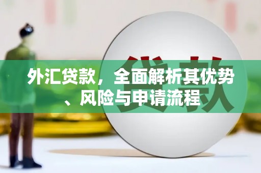 塔河外汇贷款，全面解析其优势、风险与申请流程