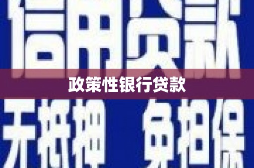塔河政策性银行贷款