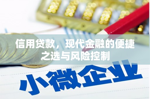 塔河信用贷款，现代金融的便捷之选与风险控制
