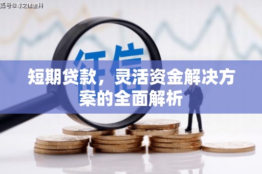 塔河短期贷款，灵活资金解决方案的全面解析