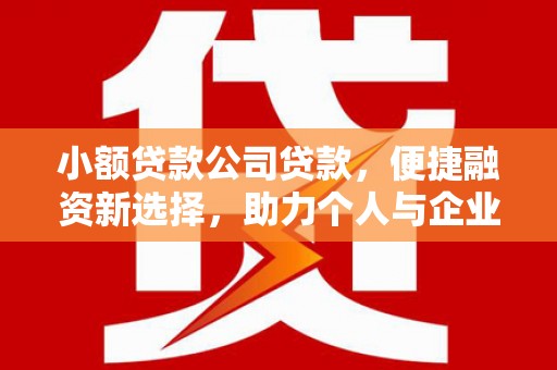 塔河小额贷款公司贷款，便捷融资新选择，助力个人与企业成长