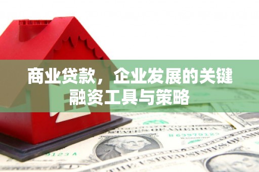 塔河商业贷款，企业发展的关键融资工具与策略