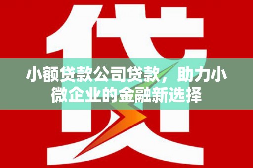 塔河小额贷款公司贷款，助力小微企业的金融新选择