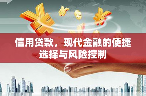 塔河信用贷款，现代金融的便捷选择与风险控制