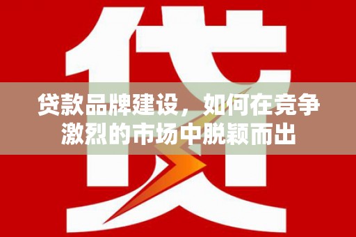 塔河贷款品牌建设，如何在竞争激烈的市场中脱颖而出