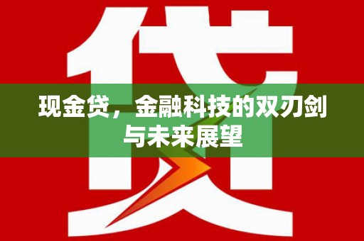 塔河现金贷，金融科技的双刃剑与未来展望