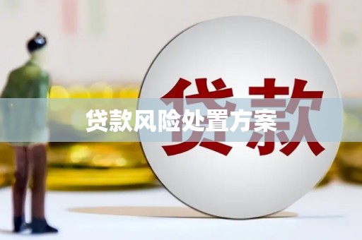 塔河贷款风险处置方案