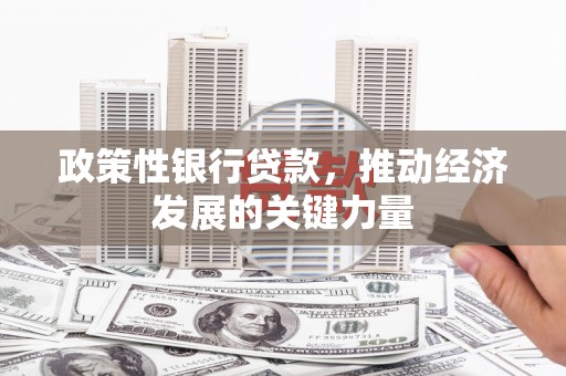 塔河政策性银行贷款，推动经济发展的关键力量