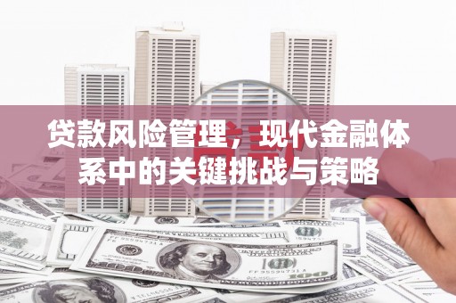 塔河贷款风险管理，现代金融体系中的关键挑战与策略