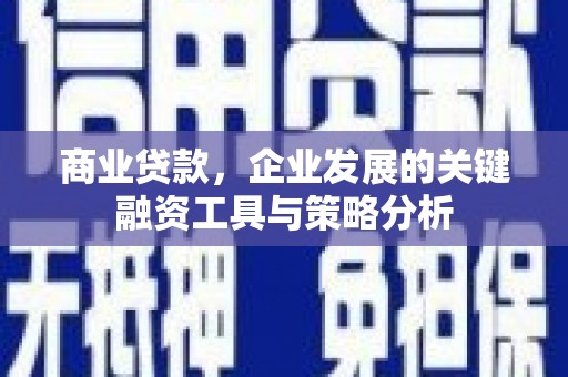 塔河商业贷款，企业发展的关键融资工具与策略分析