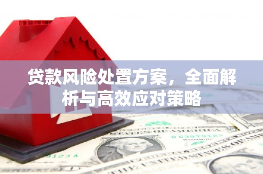 塔河贷款风险处置方案，全面解析与高效应对策略