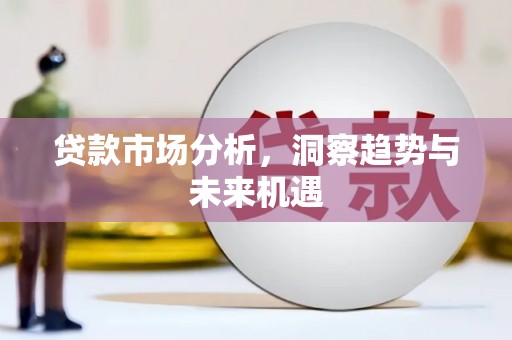 塔河贷款市场分析，洞察趋势与未来机遇