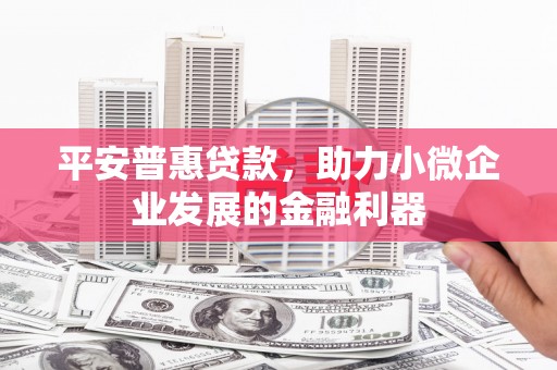 塔河平安普惠贷款，助力小微企业发展的金融利器