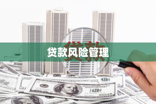 塔河贷款风险管理