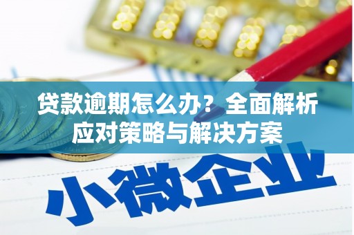 塔河贷款逾期怎么办？全面解析应对策略与解决方案