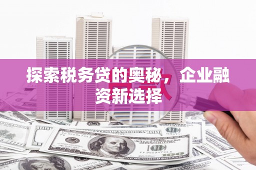 塔河探索税务贷的奥秘，企业融资新选择