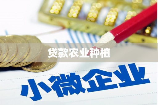 塔河贷款农业种植