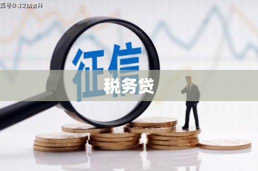 塔河税务贷