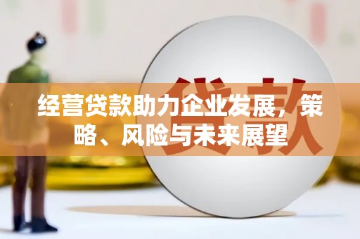 塔河经营贷款助力企业发展，策略、风险与未来展望