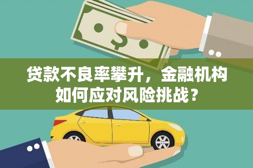 塔河贷款不良率攀升，金融机构如何应对风险挑战？