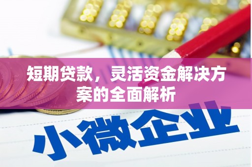 塔河短期贷款，灵活资金解决方案的全面解析