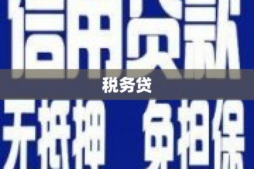 塔河税务贷