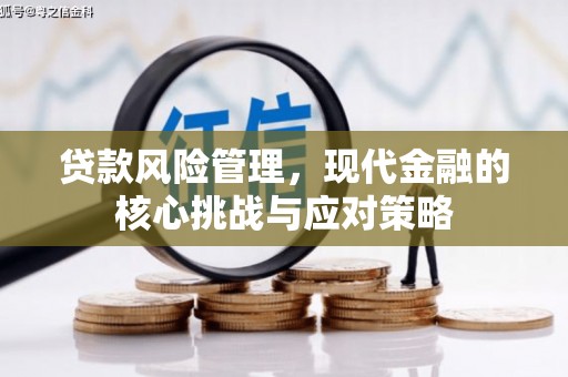 塔河贷款风险管理，现代金融的核心挑战与应对策略