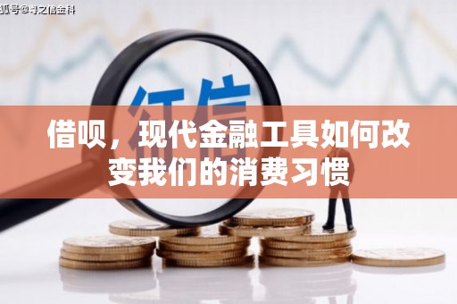 塔河借呗，现代金融工具如何改变我们的消费习惯