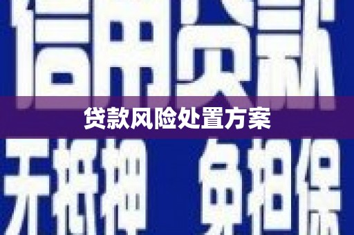 塔河贷款风险处置方案