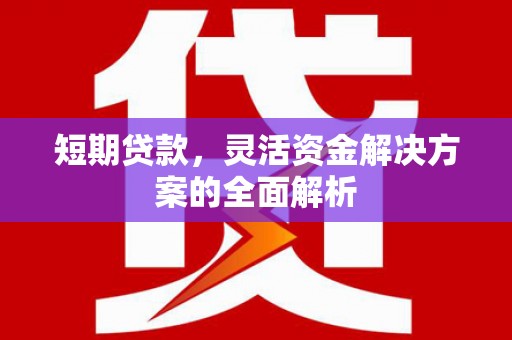 塔河短期贷款，灵活资金解决方案的全面解析