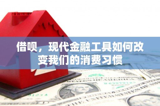 塔河借呗，现代金融工具如何改变我们的消费习惯