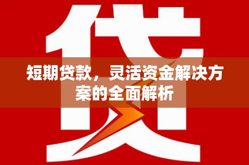 塔河短期贷款，灵活资金解决方案的全面解析