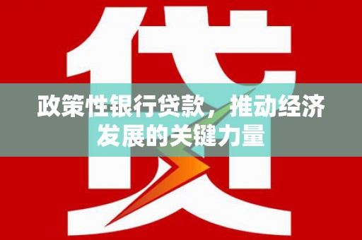 塔河政策性银行贷款，推动经济发展的关键力量