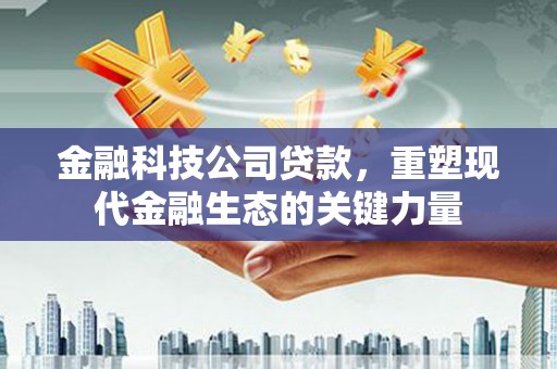 塔河金融科技公司贷款，重塑现代金融生态的关键力量