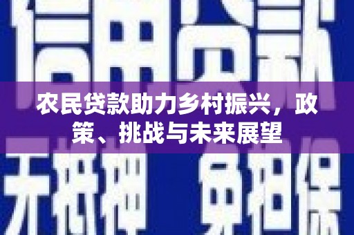 塔河农民贷款助力乡村振兴，政策、挑战与未来展望