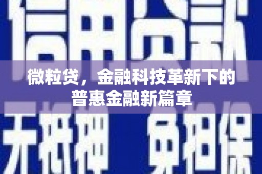 塔河微粒贷，金融科技革新下的普惠金融新篇章