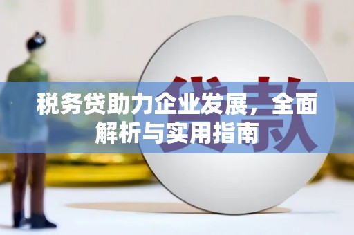 塔河税务贷助力企业发展，全面解析与实用指南