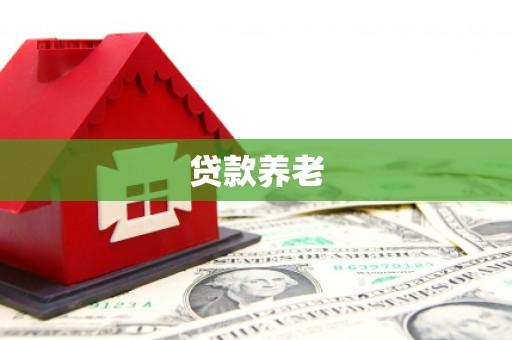 塔河贷款养老