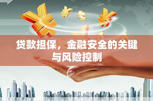 塔河贷款担保，金融安全的关键与风险控制