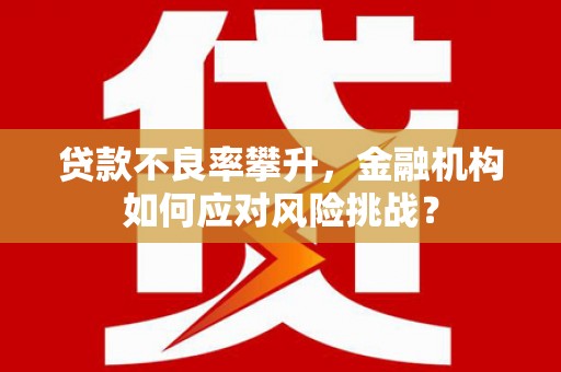 塔河贷款不良率攀升，金融机构如何应对风险挑战？