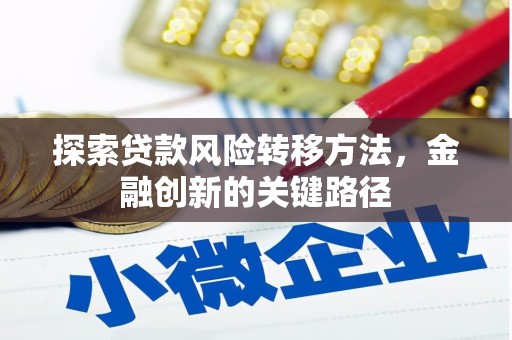 塔河探索贷款风险转移方法，金融创新的关键路径