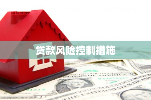 塔河贷款风险控制措施